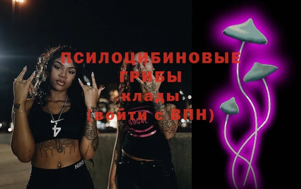 а пвп мука Алзамай
