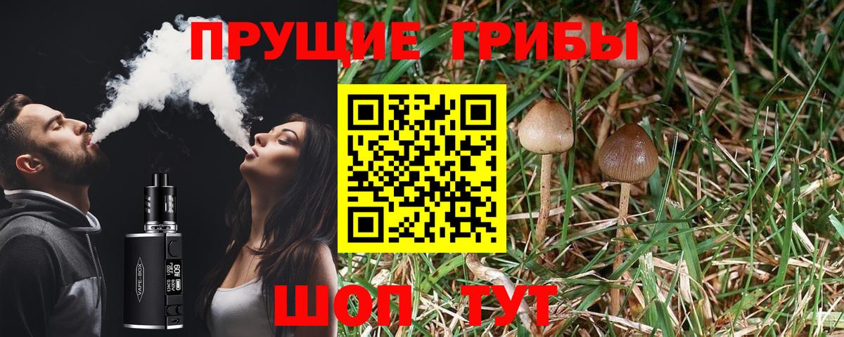 Псилоцибиновые грибы прущие грибы Подольск
