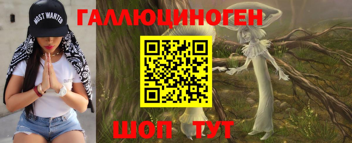 Подольск  где продают   Вход с VPN  Галлюциногенные грибы Psilocybe 